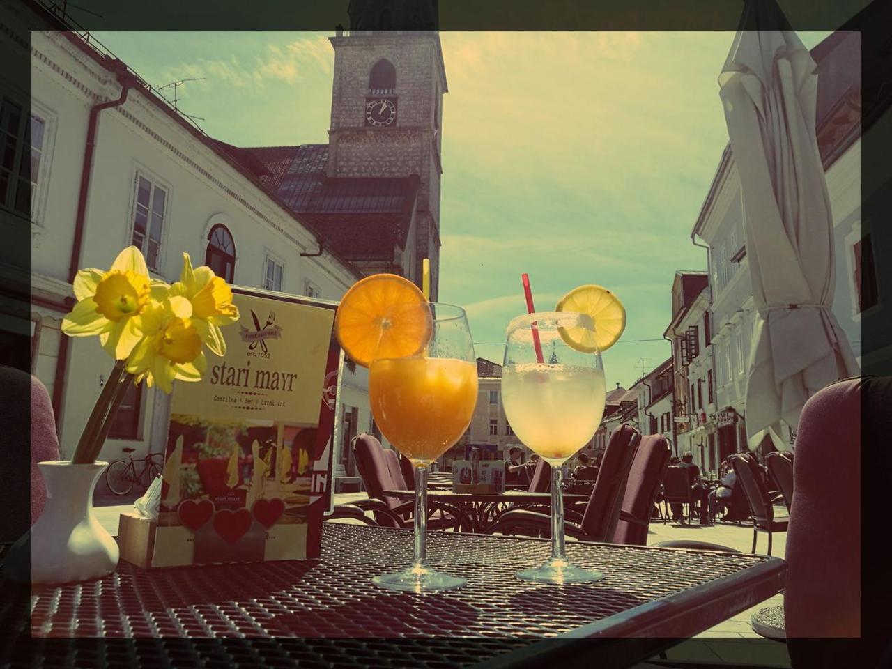 Guesthouse Stari Mayr Kranj Exterior photo